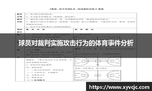 球员对裁判实施攻击行为的体育事件分析